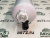 vIMG_20221202_150952 vIMG_20221202_150952