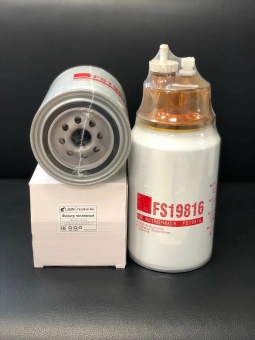 FS19816