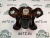 vIMG_20230206_161505 vIMG_20230206_161505
