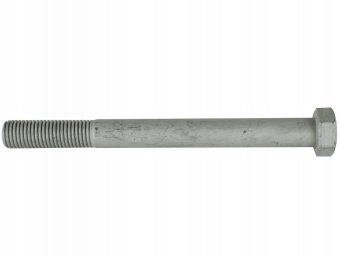 15202431