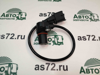vIMG_20221212_150913