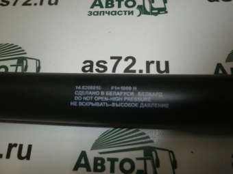 P1100005
