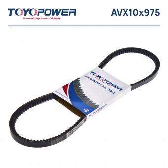 AVX10x975