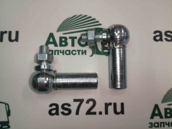 vIMG_20230126_111903